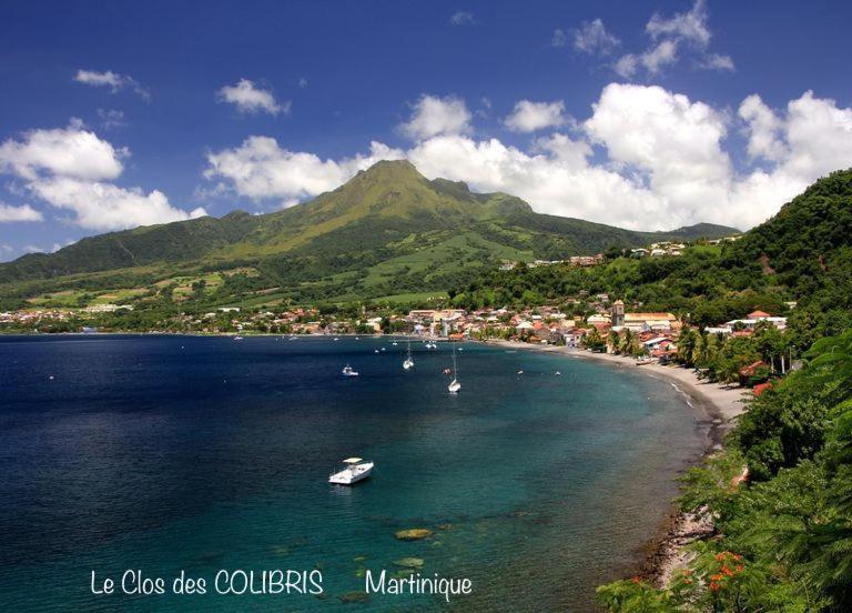 Lodge Colibris Piscine Privee Vue Panoramique Mer Et Montagne Pelee , 500 M Plage Dans Un Parc , Calme Assure Ideal Pour Decouvrir Le Nord Caraibes Le Carbet Exterior foto
