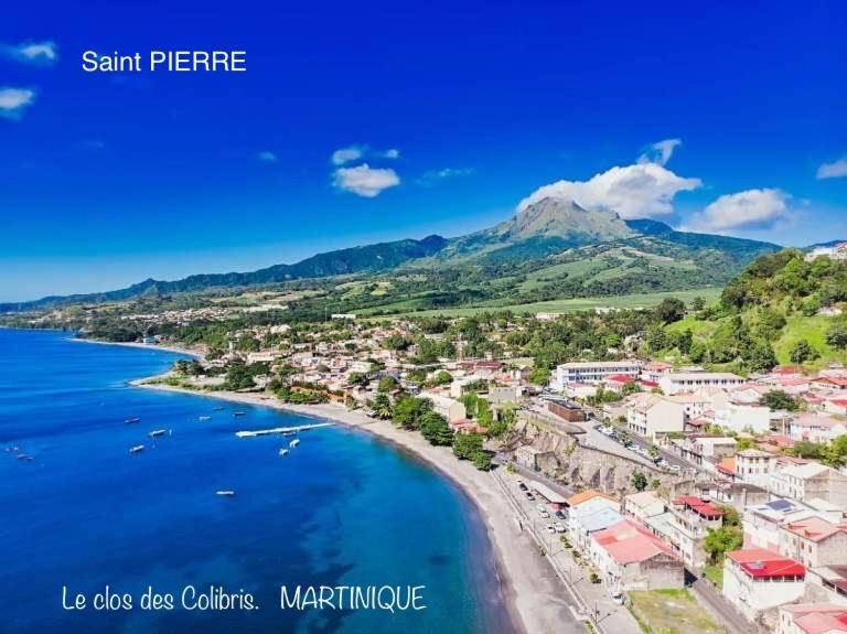 Lodge Colibris Piscine Privee Vue Panoramique Mer Et Montagne Pelee , 500 M Plage Dans Un Parc , Calme Assure Ideal Pour Decouvrir Le Nord Caraibes Le Carbet Exterior foto